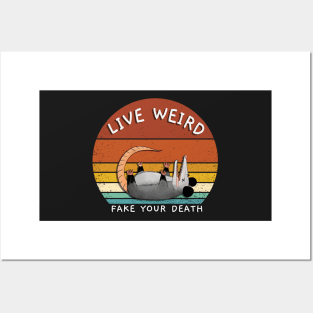 Opossum, Possum, Live Weird Fake Your Death, Weird Strange Possum Shirt Posters and Art